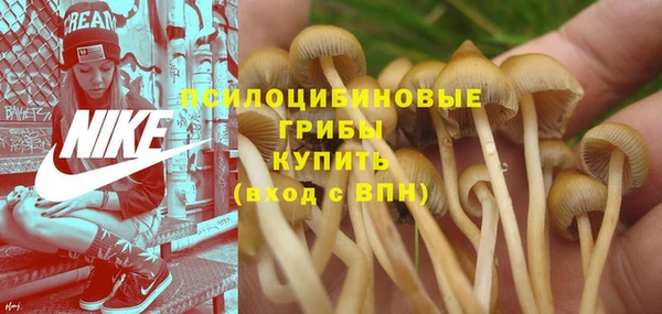 мдпв Балабаново