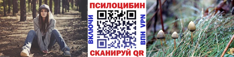 Галлюциногенные грибы GOLDEN TEACHER  ОМГ ОМГ ТОР  Ессентуки  как найти наркотики 